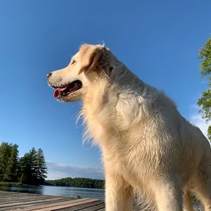 Meet your Posher, Maya